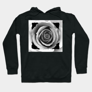 White Rose Box Hoodie